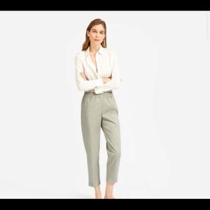 Everlane Organic Easy Chino in Sage